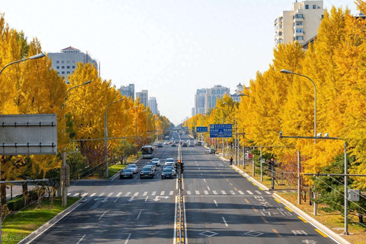 租一个北京牌照一年价格