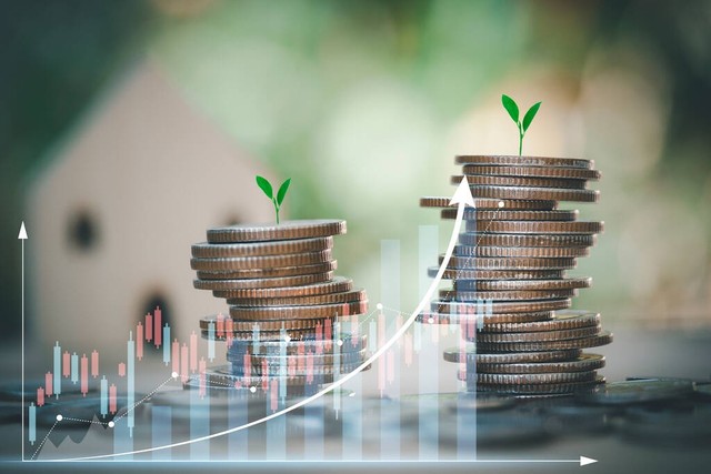 京牌多少钱一个