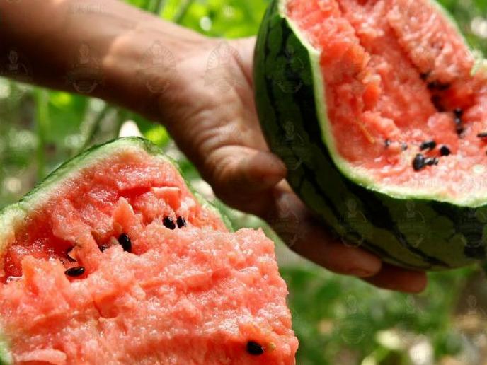 北京个人新能源指标出租