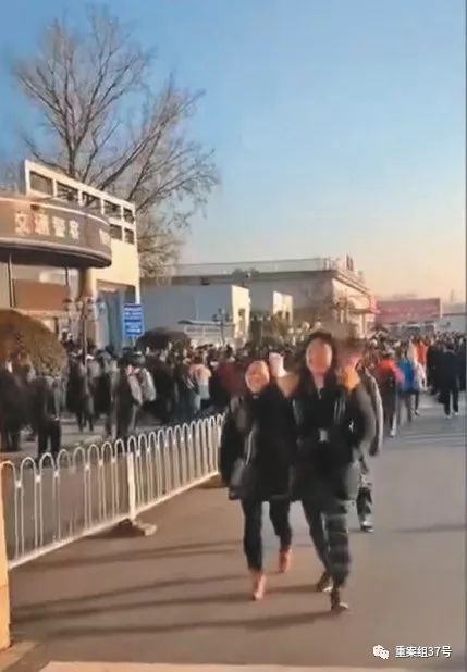 京牌出租中介
